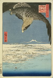 Eagle Over 100,000 Acre Plain Susakissa, Fukagawassa ("Juman-tsubo"), sarjasta "100 Views of Edo" ("Meisho Edo hyakkei"), pubi. kirjoittanut Uoya Eikichi, 1857, (värillinen puupalikkaprintti) (katso 65424)